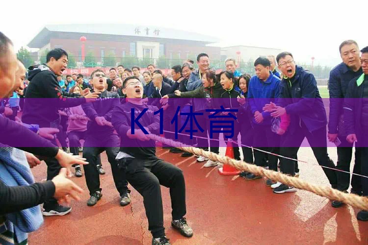 撕碎机与网球拍的区别