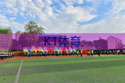 网球拍棕色手胶是什么材质