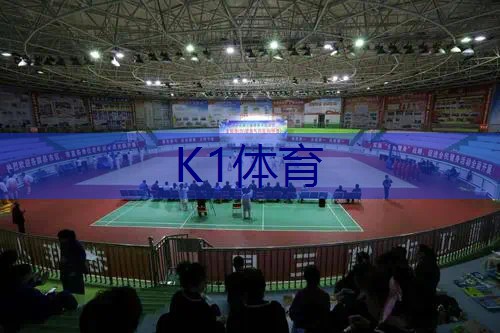 网球拍尤尼克斯白金