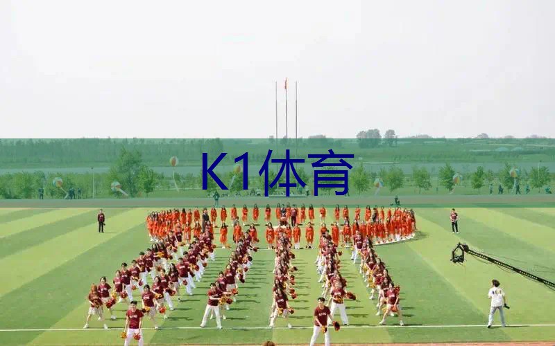 大黄蜂网球拍价格多少