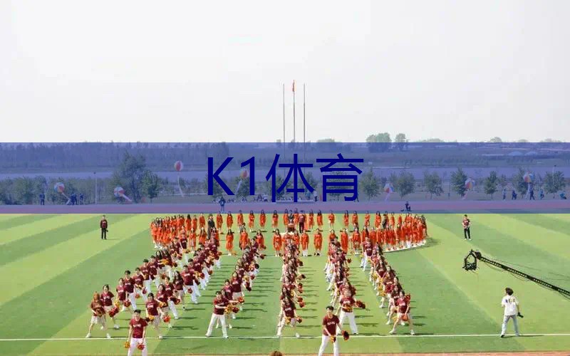 网球拍有哪几个部分组成