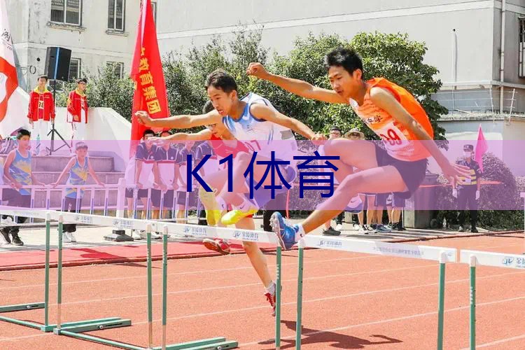 王子网球拍初学款式图