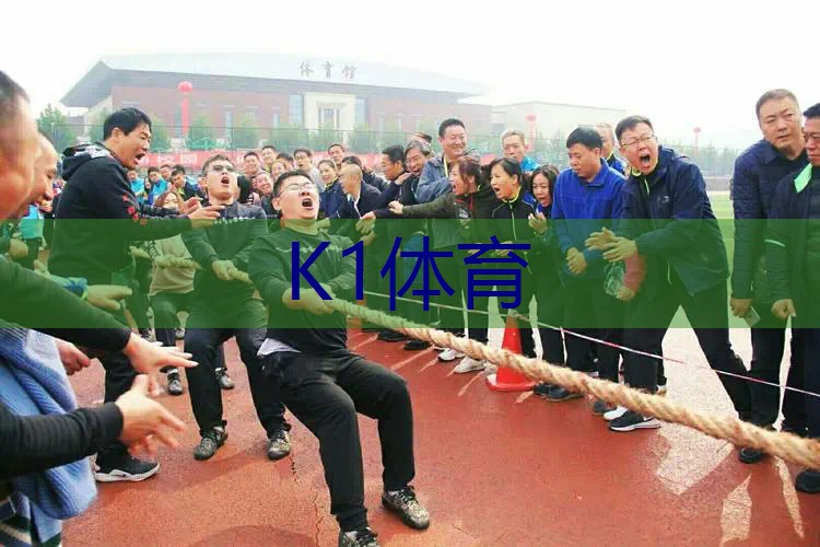 碳铝网球拍结构拆解图解