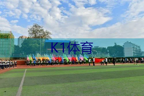 网球拍带状减震器安装图