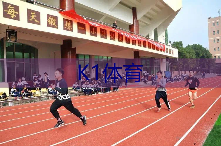 网球拍多少块钱一个