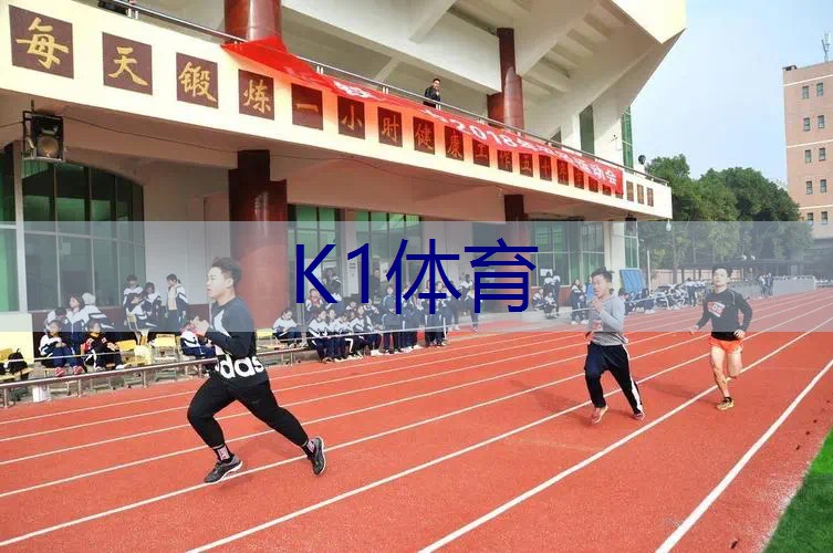 沙滩网球拍在哪个国家