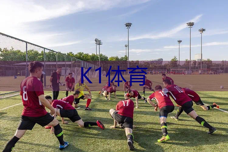 网球拍单人初学者安装