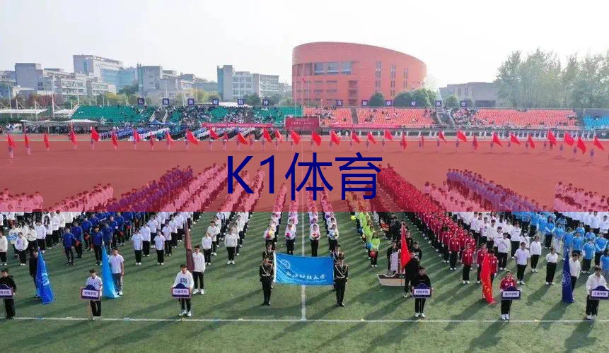 网球拍初学者带减震