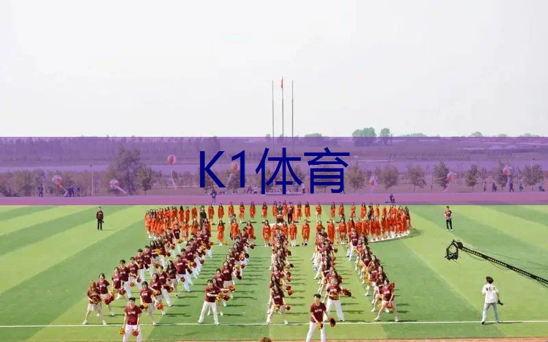 网球拍碳素初学者哪款好
