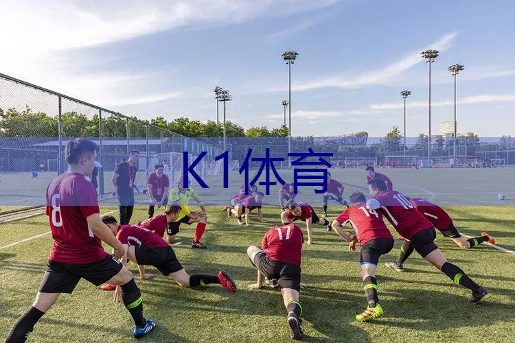 网球拍100英寸拍面