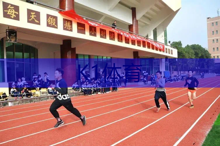 体育用品大揭秘：室外健身必备器材TOP5